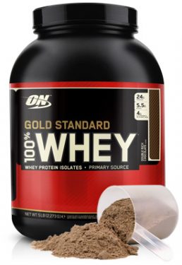 Scoop Whey Gold Standard Double Rich Chocolate