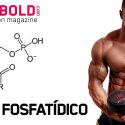 Ácido Fosfatídico: el ácido de la construcción muscular y fuerza