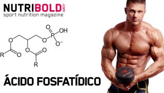 Ácido Fosfatídico: el ácido de la construcción muscular y fuerza