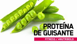 Proteína de Guisante: ¿puede la proteína de guisante construir músculo?